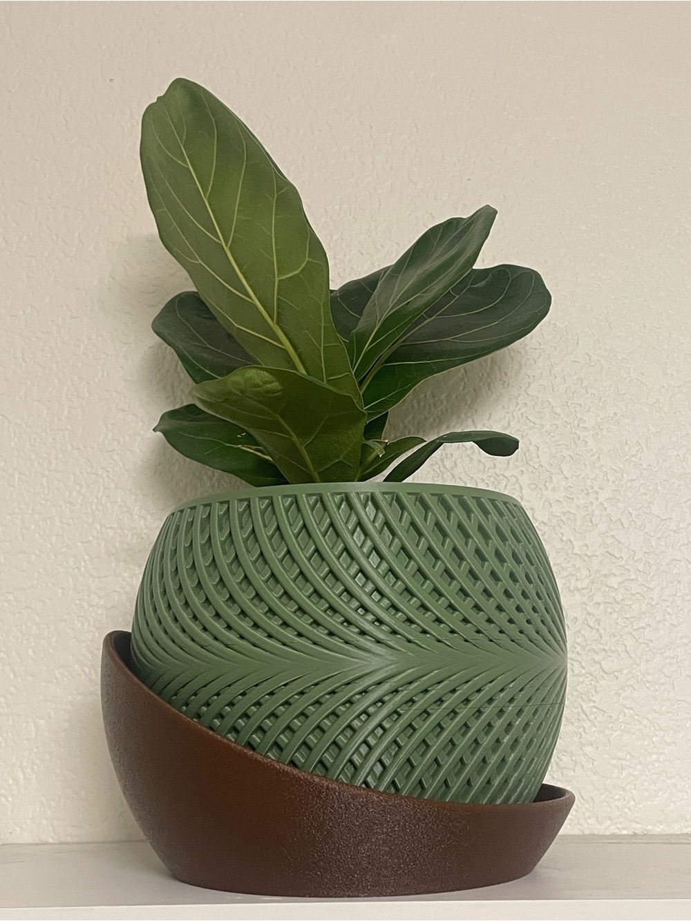 3D printed Green Textured Planter with Brown Saucer